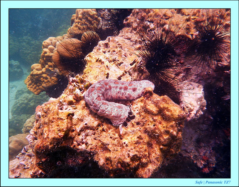 2011 - 07 - Koh Lipe 63